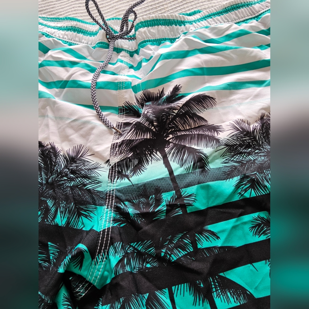 Men's Swim Trunks Quick Dry Swim Shorts 9" Inseam Bathing Suit with Mesh Lining - Picture 9 of 14